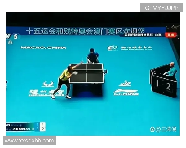 上海乒乓球队比赛经验引发热议球迷观点各异看法不一