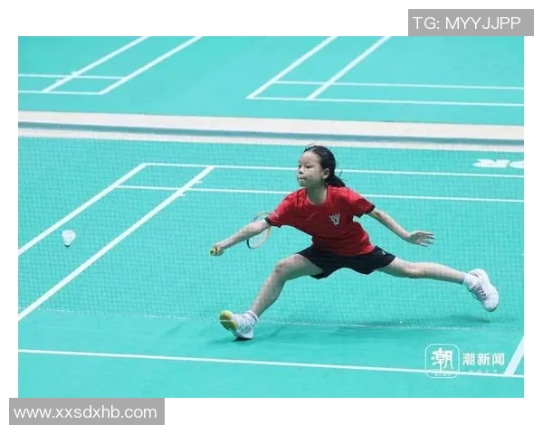 杭州羽毛球队状态解析与未来展望探讨