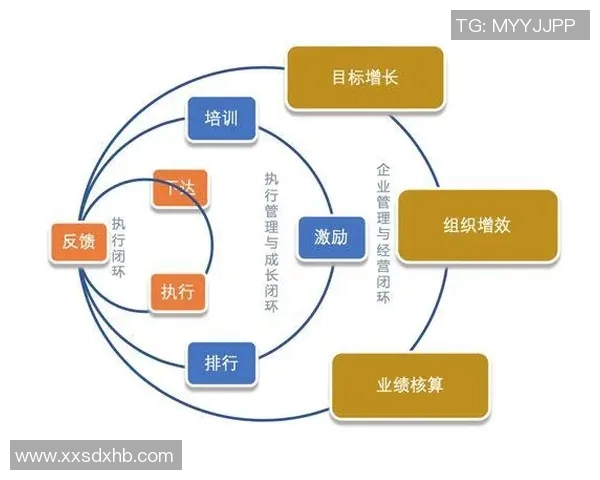 深圳排球队力量表现数据分析揭示运动员潜力与团队协作的重要性