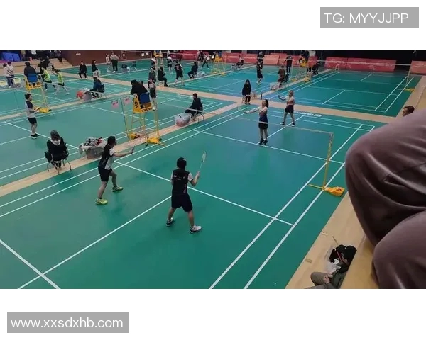 西安羽毛球队战术解析与对比研究揭示竞技优势与不足