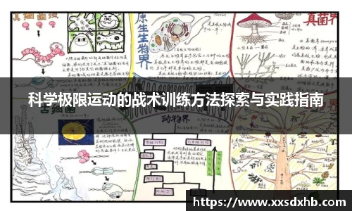 科学极限运动的战术训练方法探索与实践指南